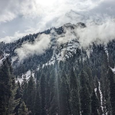 coderbhau's profile picture. 🇮🇳
🚩जननी जन्मभूमिश्च स्वर्गादपि गरीयसी 🚩
Mother and Motherland are superior to Highest heaven