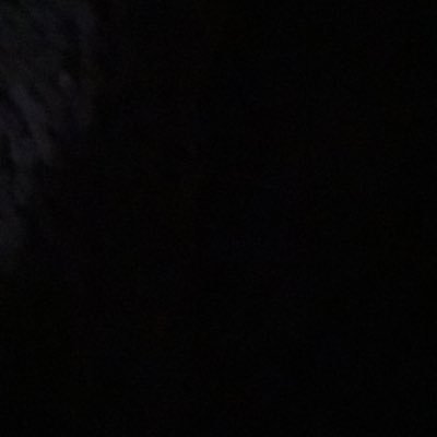 dammmitt31's profile picture. 