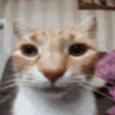 flaco718282828's profile picture. 
