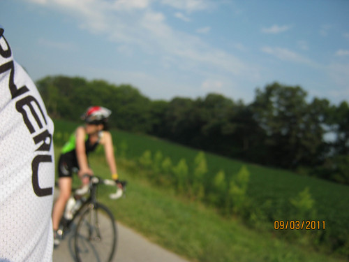 traceimage's profile picture. 