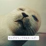 ugntknk's profile picture. 独言垂流／漢王朝は浪漫／『新元史』史天沢伝を我流で翻訳中…／ワイは自由や