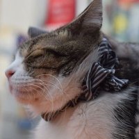 TKC 🐾 (@cinemoviephoto) 's Twitter Profile Photo TKC 🐾 (@cinemoviephoto) 's Twitter Profile Photo