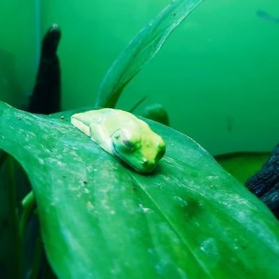 ラークさんのプロフィール画像