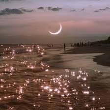 JoelynnW18005's profile picture. 