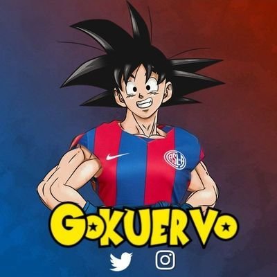 _Gokuervo Profile Picture