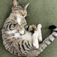 Miller is back (@millerzero) 's Twitter Profile