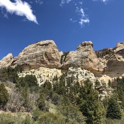 White, pro-White
enjoys cedar trees and limestone cliffs
connect to your ancestors