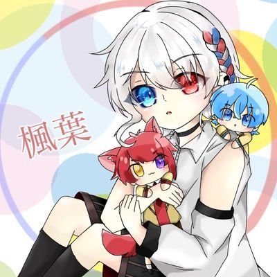 楓葉門@リアル多忙低浮上さんのプロフィール画像