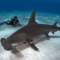 John (@pauljonesj548) 's Twitter Profile