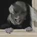 𝕵𝖔𝖍𝖓🍂 (@jrgdrawing) Twitter profile photo 𝕵𝖔𝖍𝖓🍂 (@jrgdrawing) Twitter profile photo