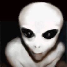 Thunder51902917's profile picture. 