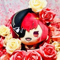 木之本凛🏴‍☠️🌸🌂🐧⚡️🖋🐰🍳(@Kinomoto_RinRin) 's Twitter Profile Photo