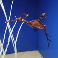 ロイミロ(613637313578) (@hsgwkyt) 's Twitter Profile Photo