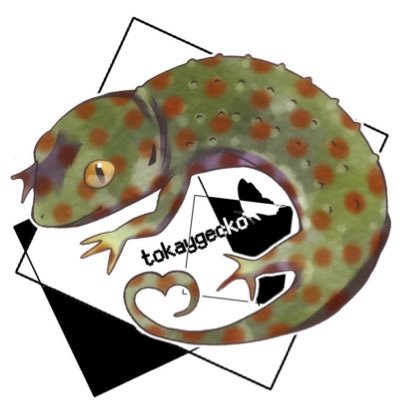 tokkeygecko Profile Picture