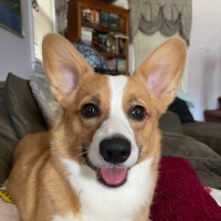 KH (@chrisjenpen) 's Twitter Profile