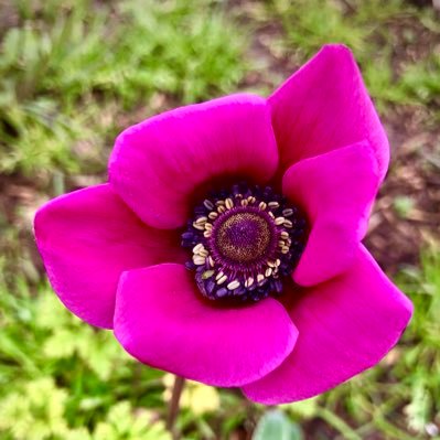 DickEileen5's profile picture. Love what you do and do what you love.