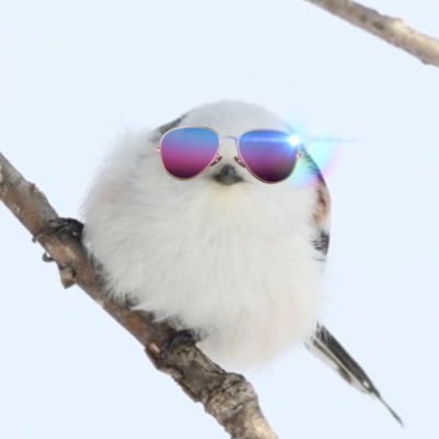 Risa人生のクエスト中💥さんのプロフィール画像