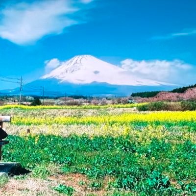 囲碁将棋さんを中心にお笑い全般大好きです