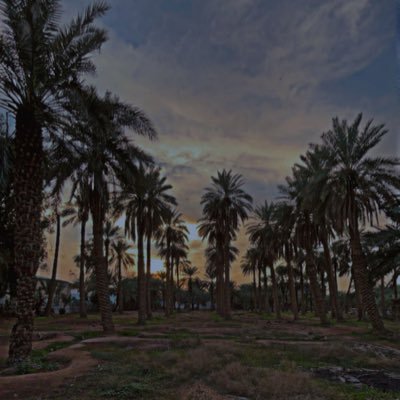 VBd2022's profile picture. 