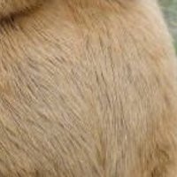 Kakakaka_no_ka (@kakakakak23336) 's Twitter Profile