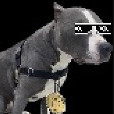 imMajor_'s profile picture. 49ers #fttb