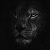 ذوالفغار ذوالفغار (@ghrba13016_d) Twitter profile photo ذوالفغار ذوالفغار (@ghrba13016_d) Twitter profile photo
