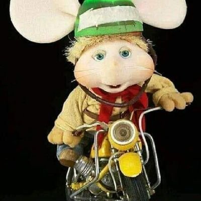 AguirrebMoni's profile picture. 