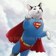 Super Cat is the official supercat of the memeverse, join telegram ASAP for early member airdrop 
https://t.co/3KMZLNTBsD