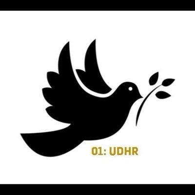 Lived experience leader | Rights-based mental health reform | Peer workforce sustainability | Researcher, writer, watchdog | UNCRPD advocate | #MadPride