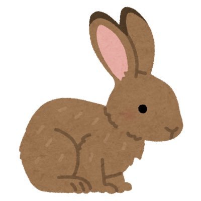 NoRabbit_79th Profile Picture