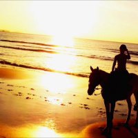 高本めぐみ (@takamo10_megu3) 's Twitter Profile