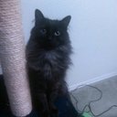 Mary Goggin - @MaryGoggin85075 - Twitter