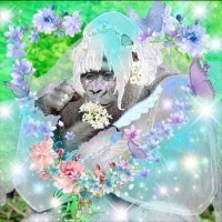 剛力 剛力羅 (@mikap_mikap) 's Twitter Profile