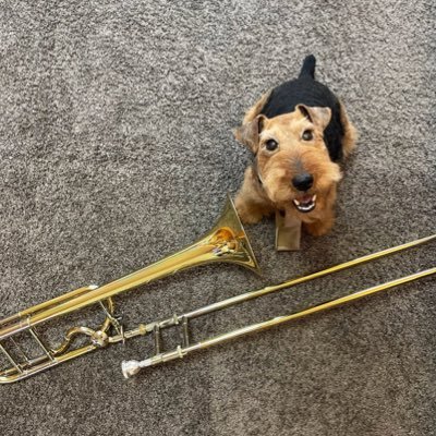 9267uraN's profile picture. 春から東海大🎶犬が好きだったりトロンボーン吹いていたり絵を描いていたり何やかんやしています。