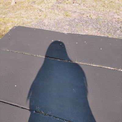 新高校3年です。
受験後、燃え尽き症候群になり高校のテスト勉強も真面目にできなくなってしまったので、その日やった勉強を軽くつぶやきます。
お気軽にフォローしてください。