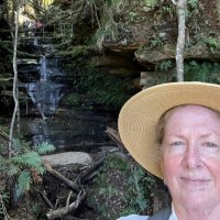 Margaret Shepherd (@mshepherd11) 's Twitter Profile