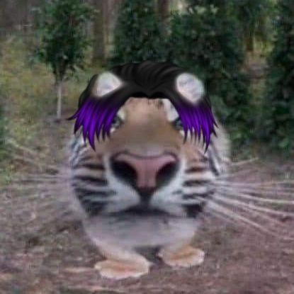กุนต์ 🐯☀さんのプロフィール画像