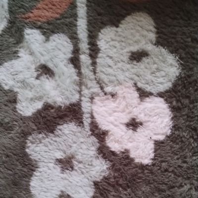 IgZA7ZnPLD74781's profile picture. 