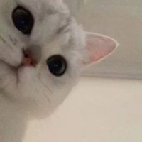 j i (@chooqy_) 's Twitter Profile