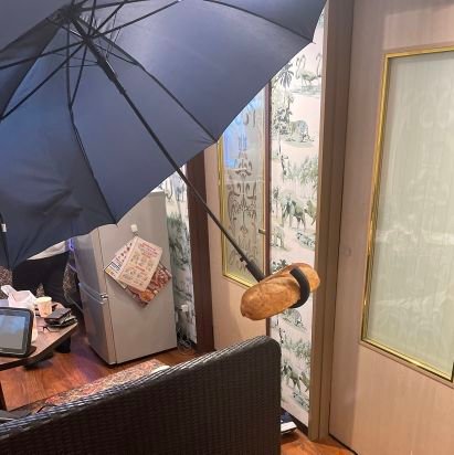 sskr_master's profile picture. もう前に何書いてたか忘れた