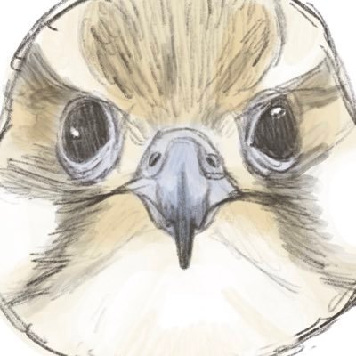 paさんのプロフィール画像