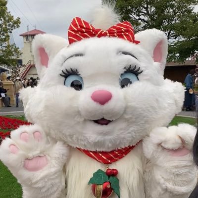 ran751118's profile picture. ゆるD垢🐭ちいかわ(モモンガ🍑)サンリオ(シナモン)との複合垢になりつつある/マリーちゃん🎀プリデイは青春/40周年でミッキーさんに沼/子持ち土日勢