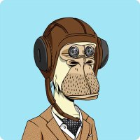 brutoshi 🧙 ₿ ⚛︎ ◎ (@brutoshi_) 's Twitter Profile