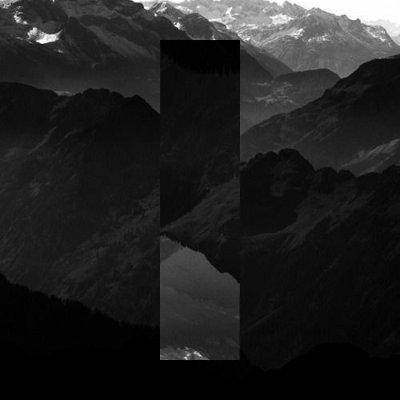 polarbear_jp's profile picture. 