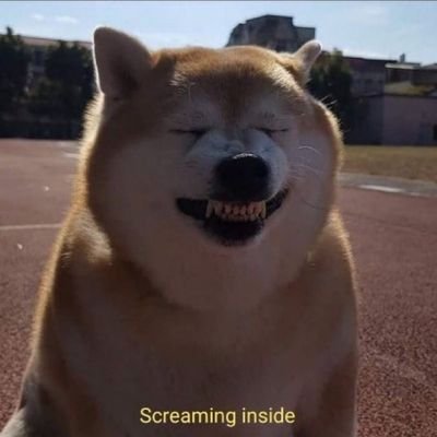 kaypee92411233's profile picture. Joshua 1:9