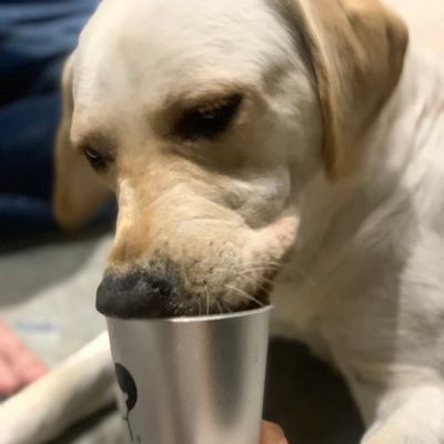 Qin19920820's profile picture. 和稀泥专业选手，互联网时代的牛马仙人。绳缚手艺人，棒铃响当当