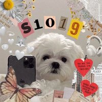 み🕊️🍀(@mimimi_bobo) 's Twitter Profileg