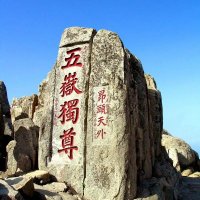 齐鲁青未了(互fo💯🇨🇳) (@lium199) 's Twitter Profile Photo