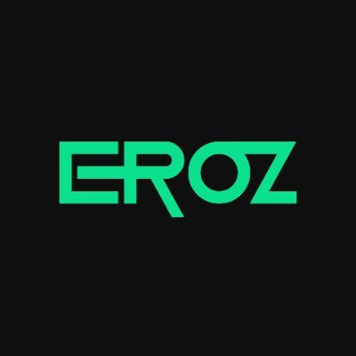 Eroz Systems Profile