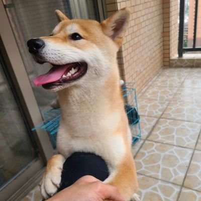 yi19138's profile picture.